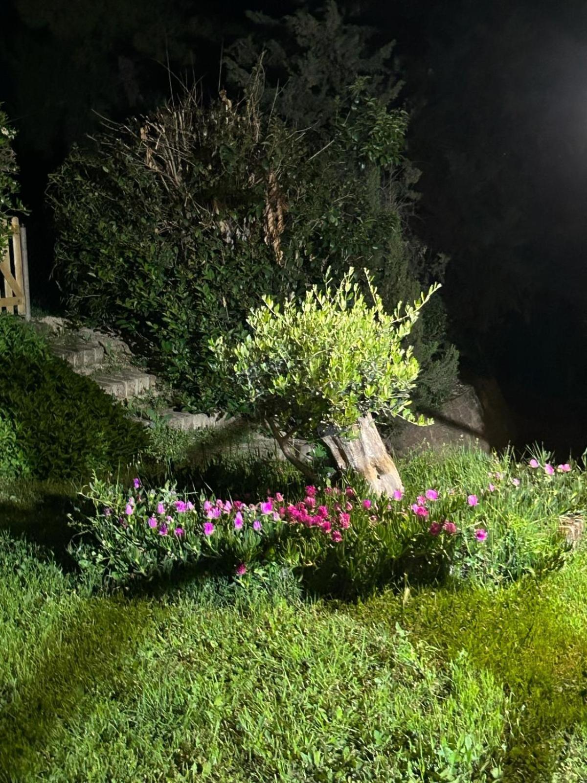 Casalustro Βίλα Citta Sant'Angelo Εξωτερικό φωτογραφία